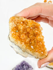 Meditation Divine Pair: Amethyst + Citrine | Large
