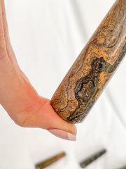 Stromatolite Wand | Medium