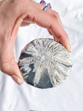 Chrysanthemum Natural Stone | X Large
