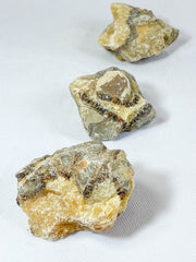 Septarian Naural | X Large