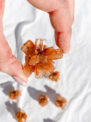 Aragonite Sputnik | X Small
