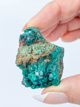 Dioptase Mineral Specimen 48g