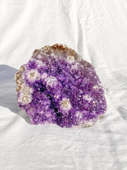 Amethyst CutBase Cluster with Druzy 1.3kg