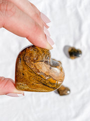 Stromatolite Heart | Medium