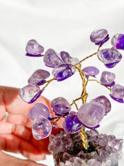 Wire Tree Amethyst on Amethyst Base