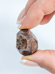 Garnet Free Form Polished Tumbles | Medium