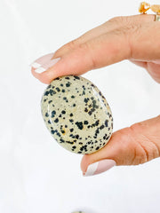 Dalmatian Jasper Worry Stone