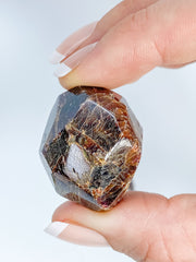 Garnet Free Form Polished Tumbles | X Large