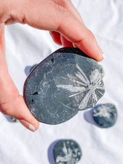 Chrysanthemum Natural Stone | Medium