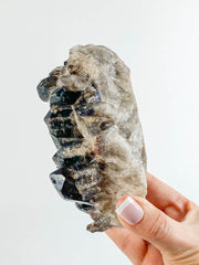 Smoky Quartz Cluster 745g