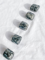 Larvikite Tumbles | Large