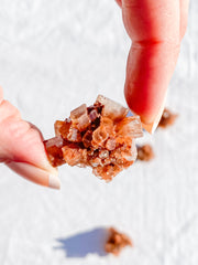 Aragonite Sputnik | Mini