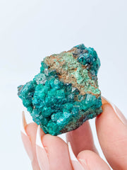 Dioptase Mineral Specimen 48g