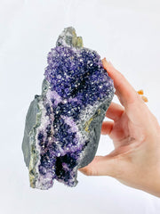 Amethyst CutBase Cluster 738g
