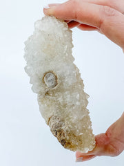 Finger Coral Quartz Cluster 340g