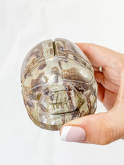 Zebra Stone Scarab Beetle Carving
