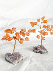 Wire Tree Carnelian on Amethyst Base
