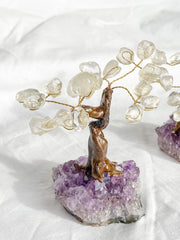 Crystal Bonsai Tree Clear Quartz on Amethyst Base
