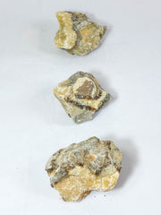 Septarian Naural | X Large