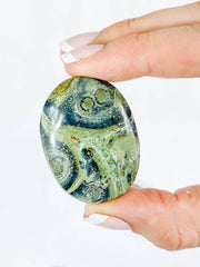 Kambaba/Crocodile Jasper Worry Stone