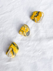 Bumble Bee Jasper Tumbles | Large