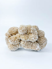 Desert Rose Selenite Cluster Statement Piece 957g