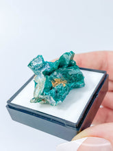 Dioptase Mineral Specimen 17g
