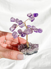 Wire Tree Amethyst on Amethyst Base