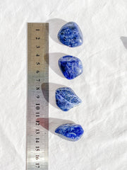 Sodalite Tumbles | Small
