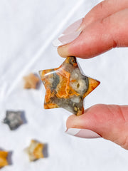 Crazy Lace Agate Star | X Small