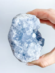 Celestite Cluster 667g