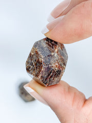 Garnet Free Form Polished Tumbles | Medium