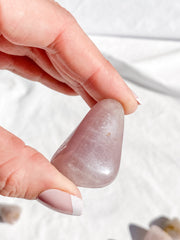 Lavender Tumbles | Medium