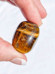 Tiger Eye Tumbles | Large