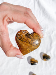 Stromatolite Heart | Medium