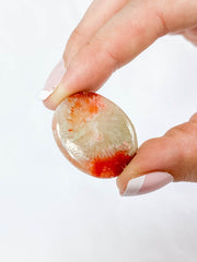 Red Coral | Mini