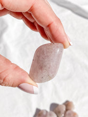 Lavender Tumbles | Small
