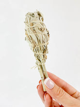 Organic White Sage | Small