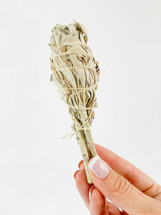 Organic White Sage | Small