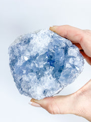 Celestite Cluster 667g