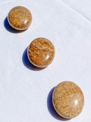 Aragonite PalmStone | Medium