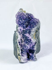 Amethyst CutBase Cluster 738g