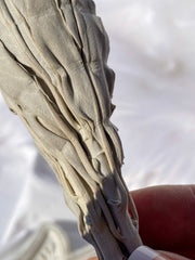 White GrandFather Sage | Small