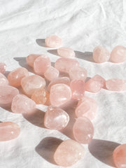 Rose Quartz Tumbles | Small