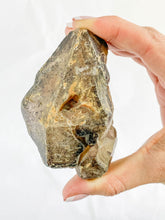 Smoky Quartz with Actinolite Elestial Natural Mineral Specimen 311g