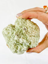Scolecite Cluster with Inclusions 318g