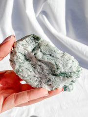 Tree Agate Natural | XX Large