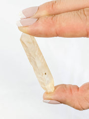 Golden Healer Natural Point 11g