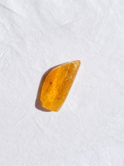 Copal with Insect Inclusions 14g