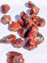 Carnelian Natural | X Small